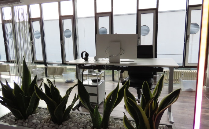 Modernes Büro von Swisscare mit minimalistischen Arbeitsplätzen, grünem Pflanzendekor und bunter Stehlampe Modernes Büro von Swisscare mit minimalistischen Arbeitsplätzen, grünem Pflanzendekor und bunter Stehlampe